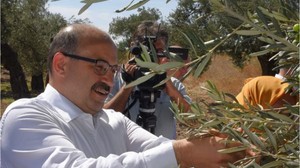 Vali Ustaoğlu Zeytin Ağaçlarının Arasında