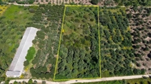 Balıkesir Erdek İlhan Mahallesi'nde 1.675 m² tarla mahkemeden satılık
