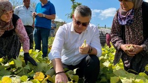 Badalan Fasulyesi Hasadı Yapıldı