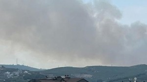 Bursa'da Orman Yangını!