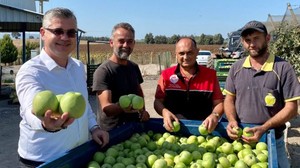 Balıkesir'den Hindistan'a