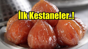 İlk Kestaneler 15 Eylül’de Dökülmeye Başladı