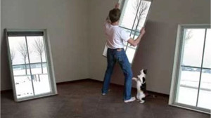 Penceresiz Oda Nasıl Dekore Edilir?