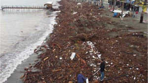 Altınkum Plajı Çöp ve Ağaç Parçalarıyla Kaplandı