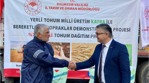 Balıkesir'de Kayra Ekmeklik Buğday Yaygınlaşıyor