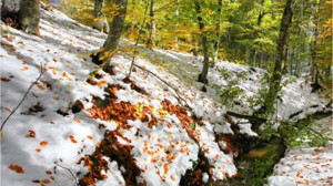 Balıkesir'in Dağlarındaki Görüntü Herkesi Hayran Bıraktı