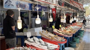 Marmara'da Hamsi Krizi! Balık Fiyatları Hızla Yükseliyor
