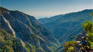Balıkesir'in Flora Rehberi
