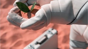 Mars'ta Tarım Deneyleri Sonuç Verdi