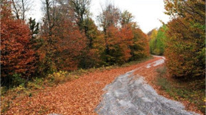 Ulus Dağı Sonbaharın Renklerine Büründü