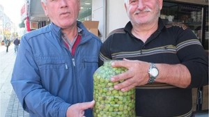 Balıkesir'de Kırma Zeytin Hazırlığı Başladı
