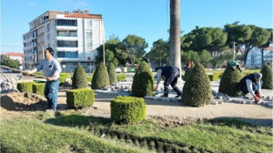 Burhaniye'de Park ve Bahçelerde Renkli Değişim