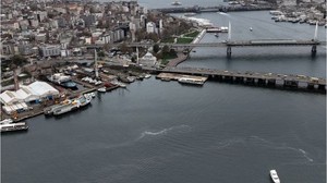 Kirlilik Yüzünden Haliç’te Denizanası İstilası