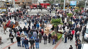 19. Burhaniye Zeytin Ve Zeytinyağı Hasat Festivali Başladı