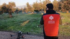 Balıkesir'de 180 Bin Zeytin Ağacı Koruma Altında