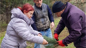 Balıkesir'de Kaliteli Orman Ağaçları Geleceğe Taşınıyor!