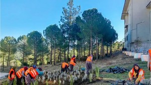 Balıkesir'de Yeşil Eğitim İçin Bin 303 Fidan Dikildi
