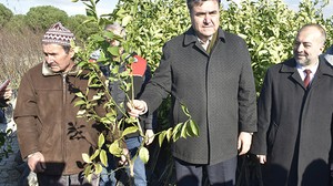 Havranlı Yetiştiricilere Fidan Desteği