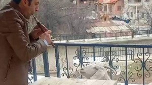 Keçiye “mey” konseri verdi, Video Sosyal Medyada Viral Oldu