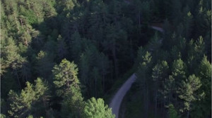 Balıkesir'in Oksijen Deposu