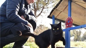 Karesi Belediyesi Sokak Hayvanlarına Yardım Eli Uzatıyor
