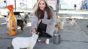 Fatma öğretmen, Hatay'da Sokak Hayvanlarına Umut Oluyor