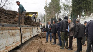 İş Birliğiyle Balıkesir'de Meyvecilik Gelişiyor