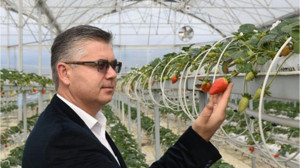 Örtüaltı Tarımda Balıkesir Merkez Olma Yolunda