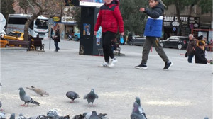 Balıkesirli Çocuklar Harçlıklarını Güvercinlerden Esirgemiyor