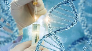 Genetik Testlerle Kromozom Bozuklukları Teşhis Edilebiliyor
