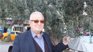 Yağmur Burhaniyeli Zeytincileri Sevindirdi