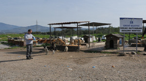 Besleme Noktasında Yiyecek Hırsızlığı İddiası Güvenlik Kamerasıyla Tespit Edildi