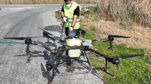Büyükşehir larvaları tespit ederek anında müdahale ediyor