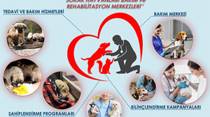 Mesut Eray'dan Altıeylül'e Hayvansever Dokunuş