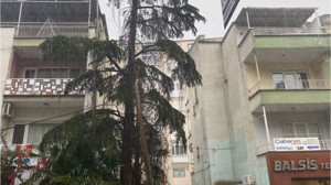 Fırtına Doluya Dönüştü