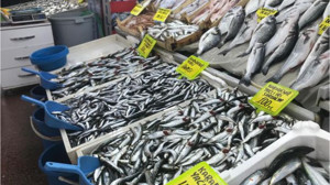 Ramazan Geldi Balık Fiyatları Düştü