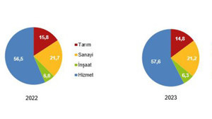 TUİK İşgücü İstatistiklerini Açıkladı