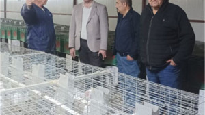 Zeytin Tarlasından Farklı Bir Kazanç Kapısı