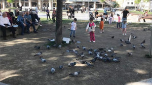 Güneşli Hava Balıkesir Caddelerine Can Verdi