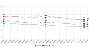 TUİK Şubat Ayı İşgücü İstatistiklerini Açıkladı