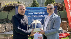 Tarımda Balıkesir Yerli Tohumlarıyla Yeni Dönem