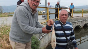 Balıkesir'de Doğal Sit Alanı Kırmızı Alarm Veriyor!