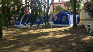 400'ün Üzerinde Kampçı Balıkesir'i Tercih Etti