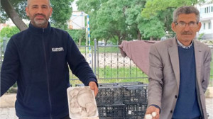 Balıkesir’de Mantar Tezgahına Yapılan Çağrı Dikkat Çekti!