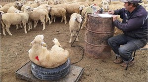Balıkesir'e Gitmeden Anlayamayacağınız Şeyler