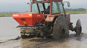 Manyas ve Gönen'de Çeltik Ekimi Hızla Devam Ediyor