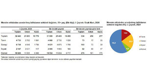 TUİK 1.Çeyrek İşgücü İstatistiklerini Açıkladı