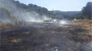 Yulaf Biçerken Yangın Çıkarttı