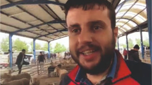 BALIKESİR'DE 2 KUZU KOYUN KAÇ TL'YE ALINIR?