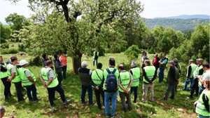 Balıkesir Meşe Ormanlarının Korunması İçin Adımlar Atılıyor